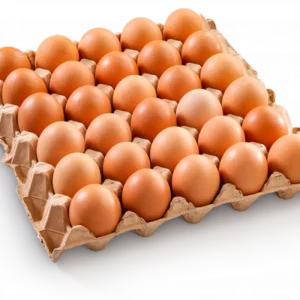 Яйцо