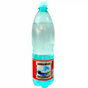 1л. Шохамбари Амина